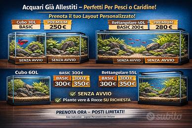 Acquari già allestiti