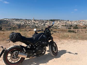 Benelli leoncino 500 2024