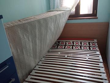 Rete a doghe motorizzata Marion Nettuno