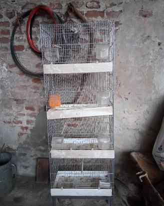  Gabbia da cova modulare