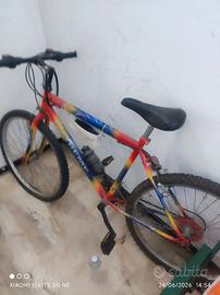 bicicletta 