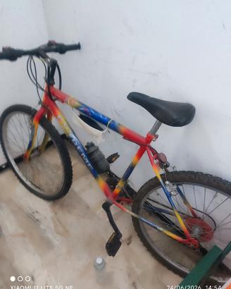bicicletta 