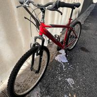Moutain Bike rossa