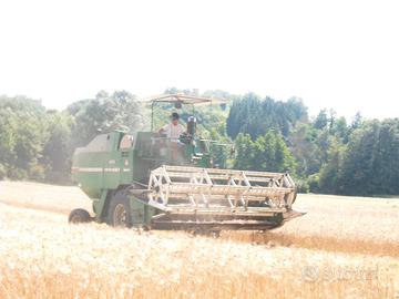 Mietitrebbia Arbos White 125 giaguaro