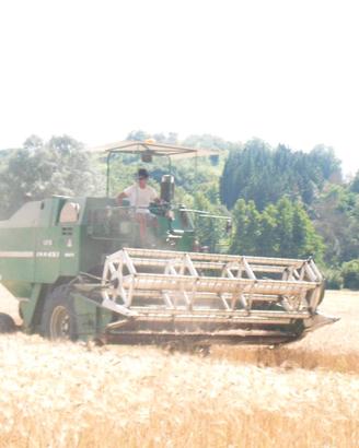 Mietitrebbia Arbos White 125 giaguaro