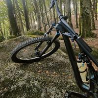 MTB  FULL IN CARBONIO SPECIALIZED STUMPJUMPER EXPE