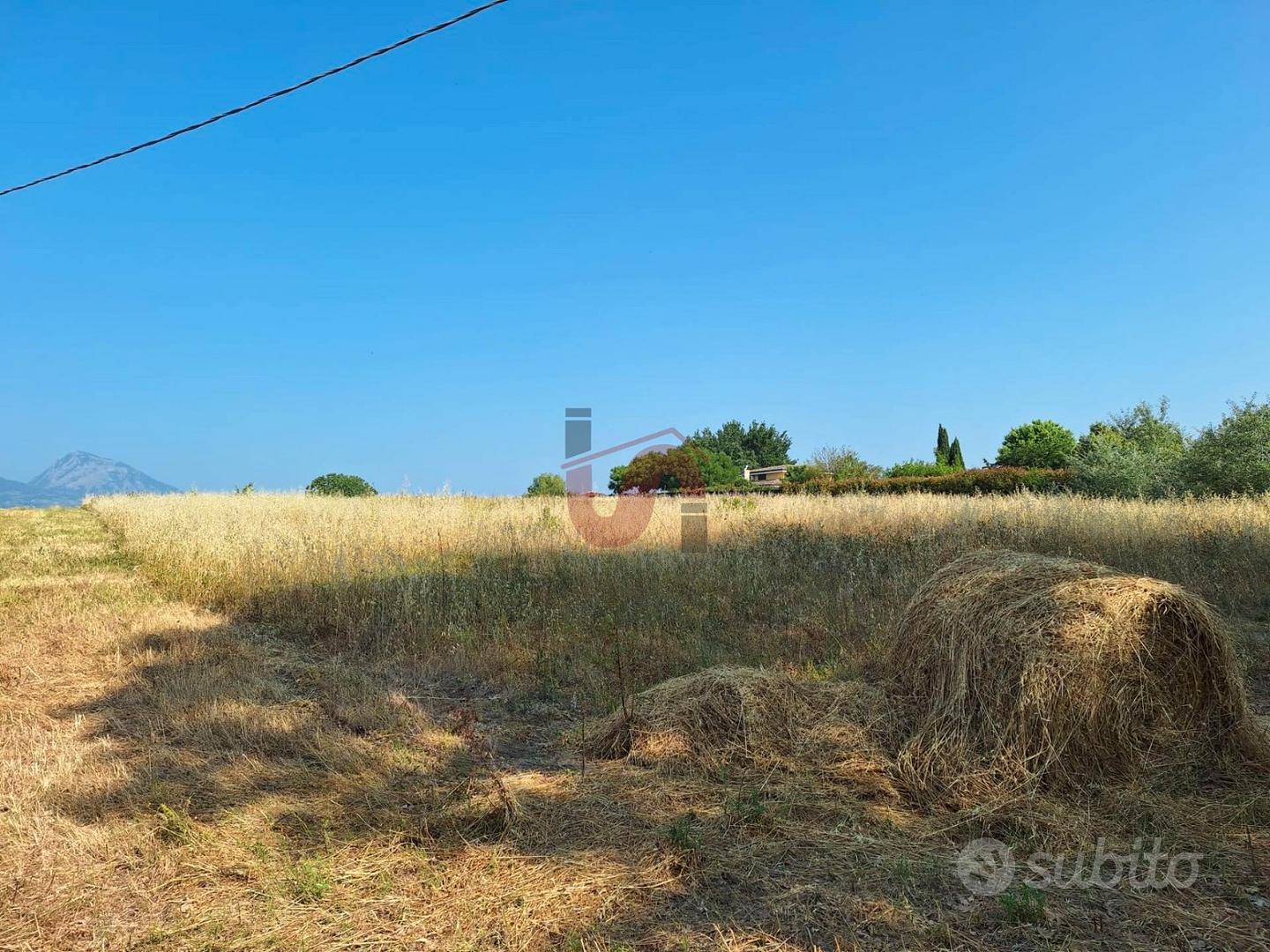 TERRENO AGRICOLO - Contrada le Murate - BENEVENTO - Vista 2