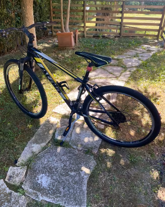 Bici mountain bike