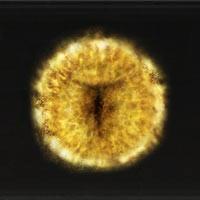 elden ring livello massimo 713 PC PS4 PS5