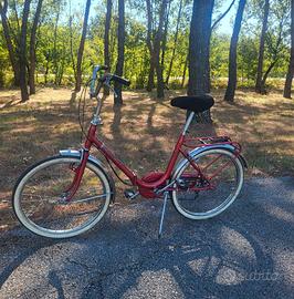Bici pieghevole