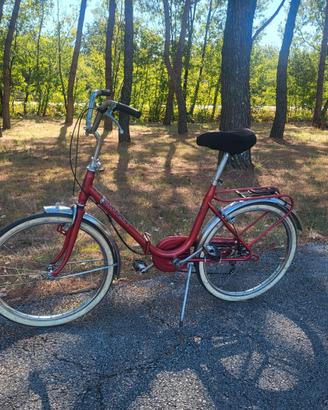 Bici pieghevole