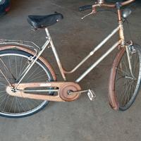 bicicletta donna ragazza 