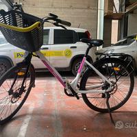 Bicicletta pedalata assistita Omega Argento