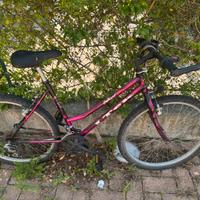 Bici adulto usata