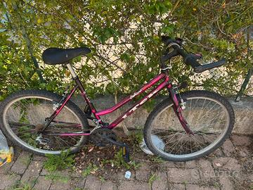 Bici adulto usata
