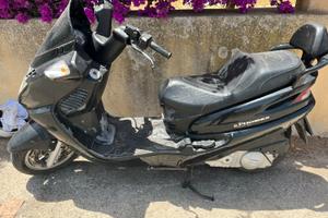 Vendita scoteer