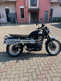 Triumph scrambler 900