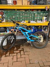 Scott gambler
