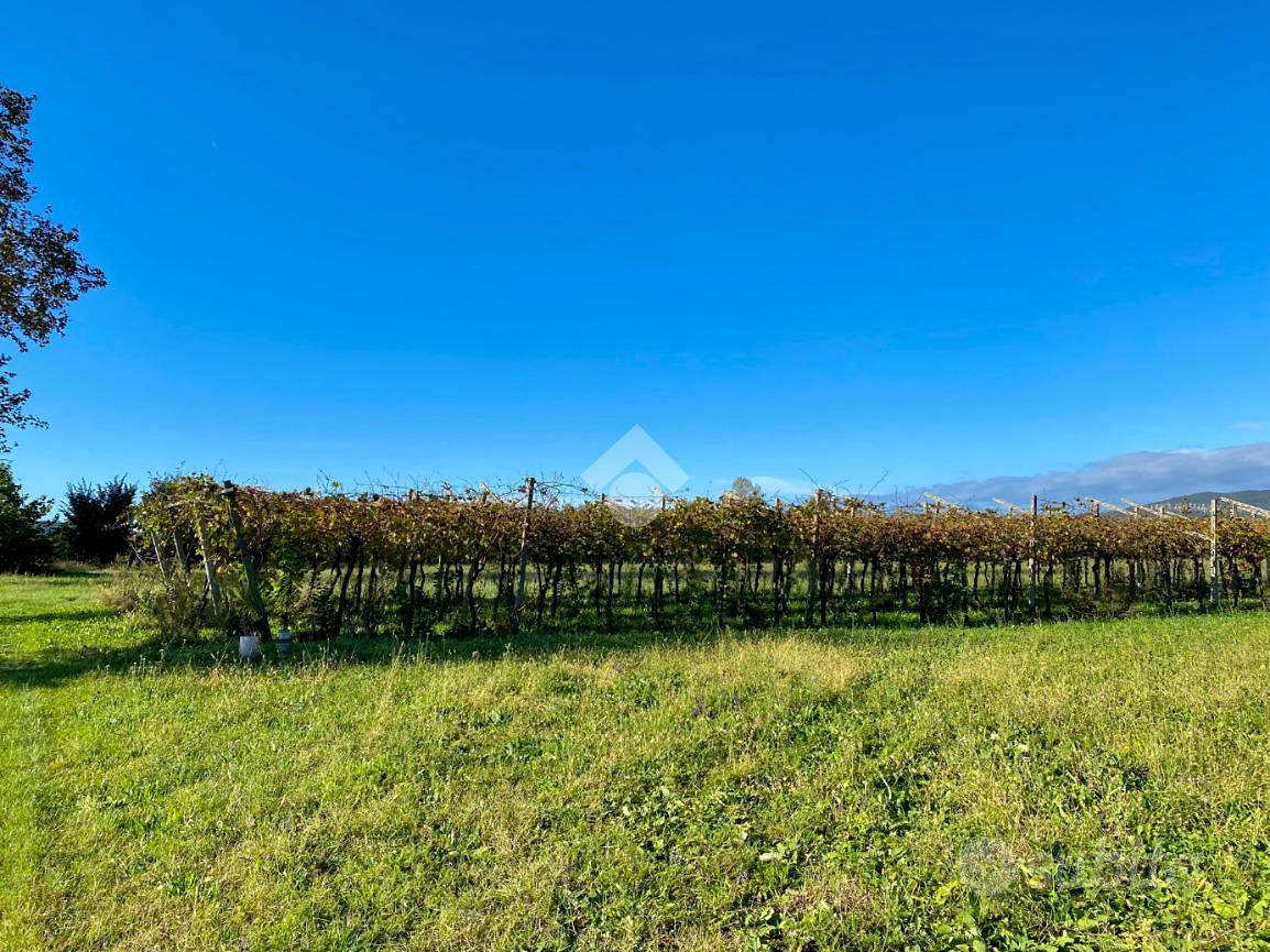 TER. AGRICOLO A CAPRINO VERONESE - Vista 4
