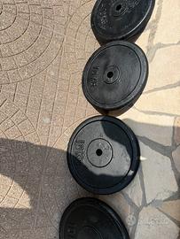 Pesi in ghisa palestra