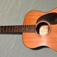 Chitarra Aspen D25 - clone martin anni 70