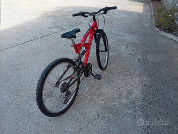 Mountain bike 