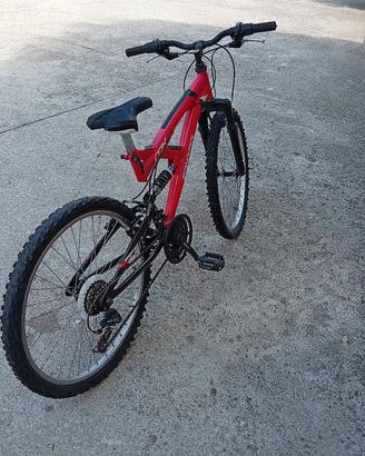 Mountain bike 