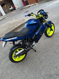 Gilera dna