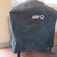barbecue a gas Weber Q300