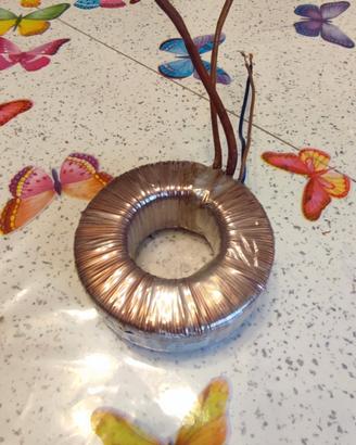 Trasformatore Toroidale