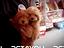 Immagine 20