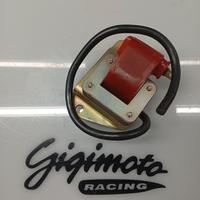 BOBINA ALTA TENSIONE FEMSA