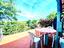 Immagine 13
