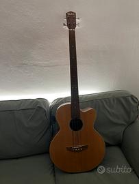 Chitarra Jim Harley 4 Seasons