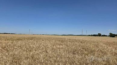 Terreno di 200130 m² a Tarquinia