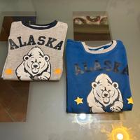 Lotto 2 Felpe Piazza Italia Alaska 8/9 anni