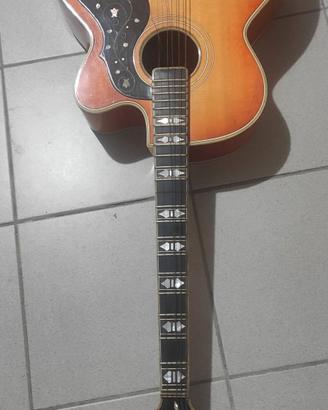 chitarra Hofner