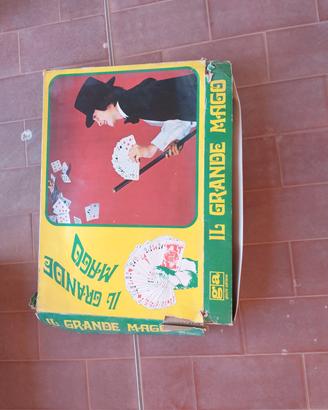Gioco di società 