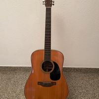 Splendida chitarra acustica 12 corde Fender F-80-1