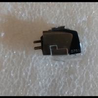 testina stanton più schell