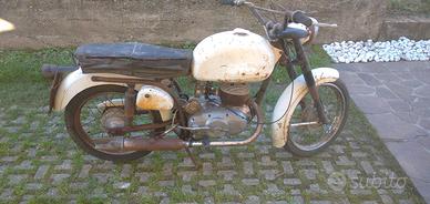 bianchi mendola 