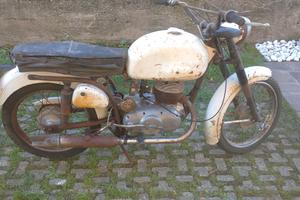 bianchi mendola 