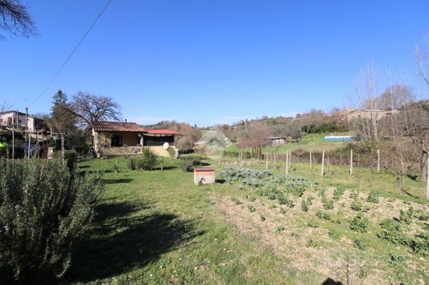 TER. AGRICOLO A POGGIO MIRTETO