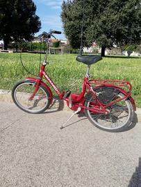 bici pieghevole 