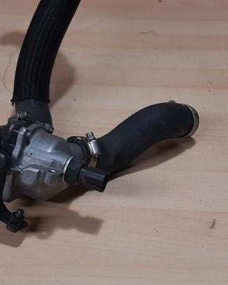 Termostato kawasaki z750 2007 2010 2014