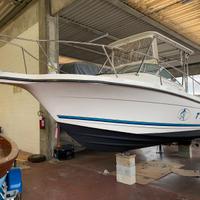 Bayliner Trophy 2052 6,58 x 2,47 metri Efb