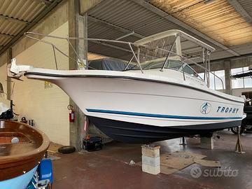 Bayliner Trophy 2052 6,58 x 2,47 metri Efb