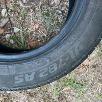 Pneumatico Ovation for season