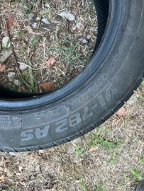 Pneumatico Ovation for season