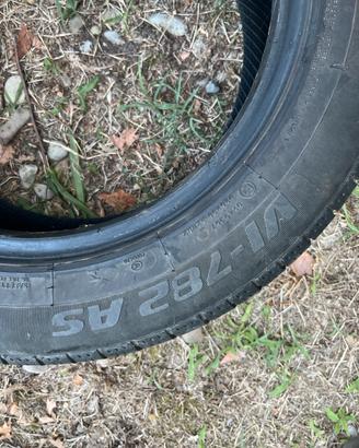 Pneumatico Ovation for season